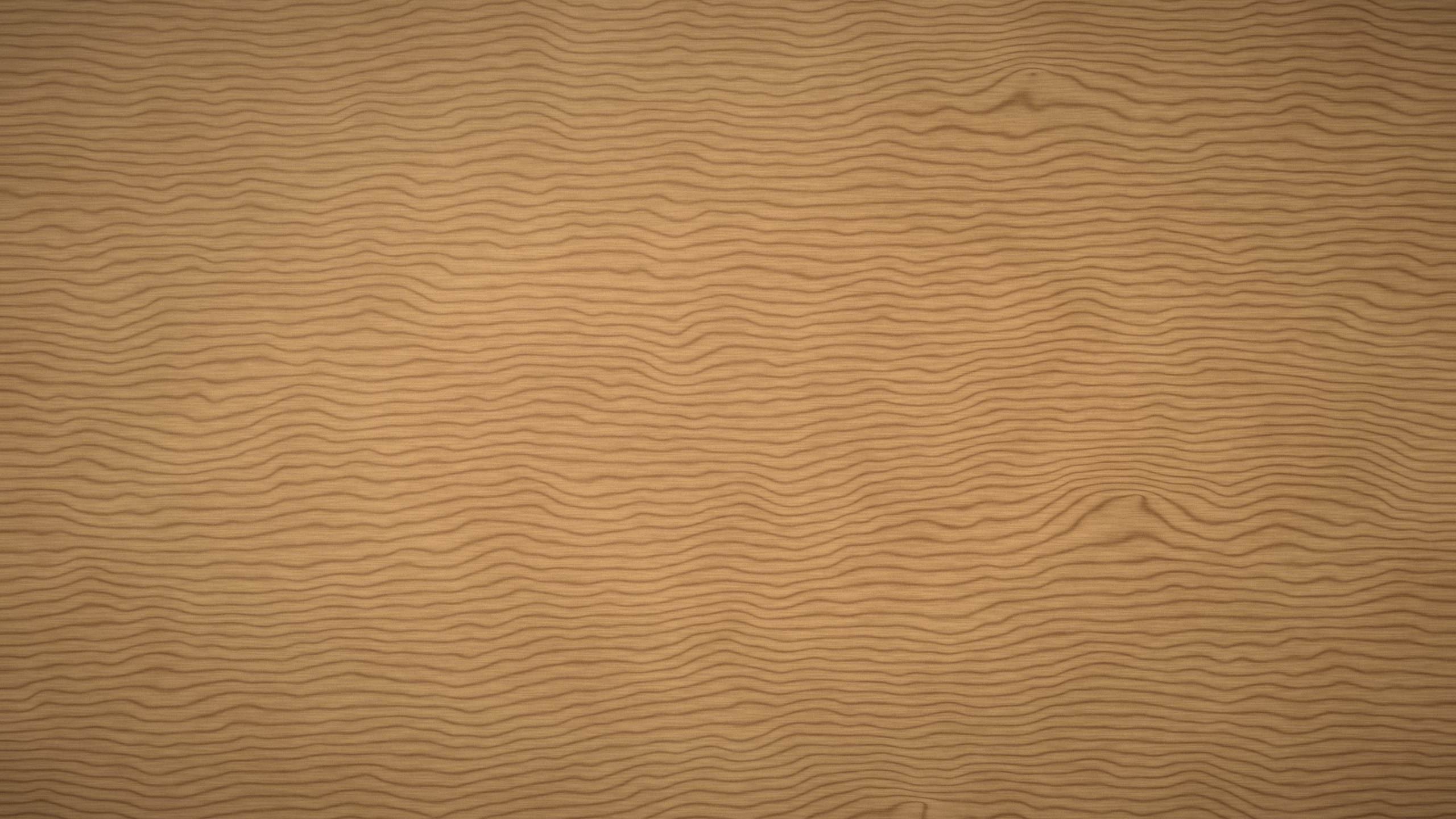 Close-up of oak wood grain